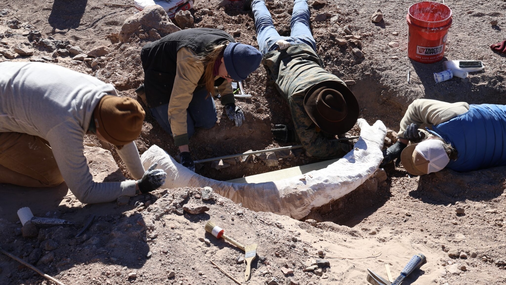 Texas hunter’s ‘old stump’ find was actually a rare mammoth tusk