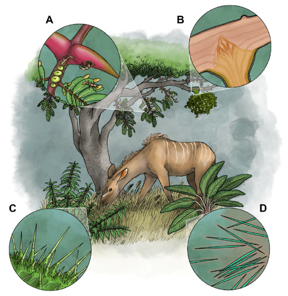 Numerous Plants, Fungi, Protists, Bacteria, and Even Viruses Possess Toxin Delivery Systems: Study