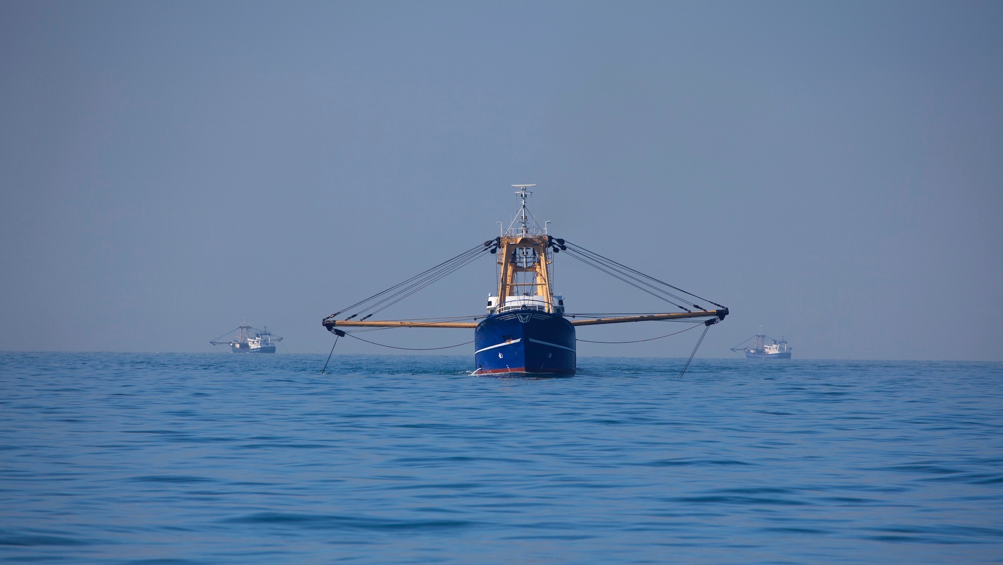 Stop stirring up the seafloor