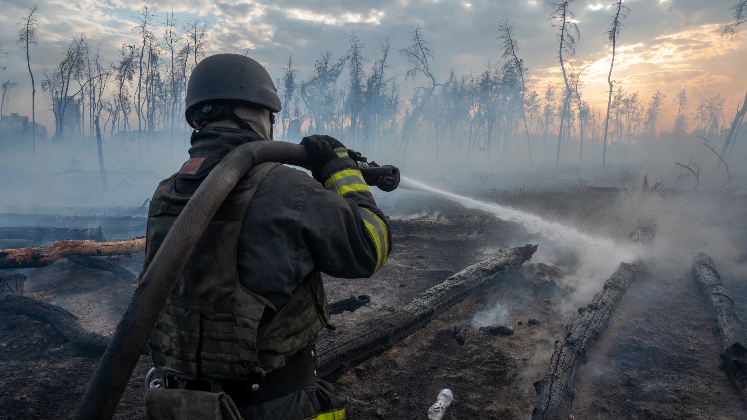 How 3 years of war have ravaged Ukraine’s forests, and the people who depend on them