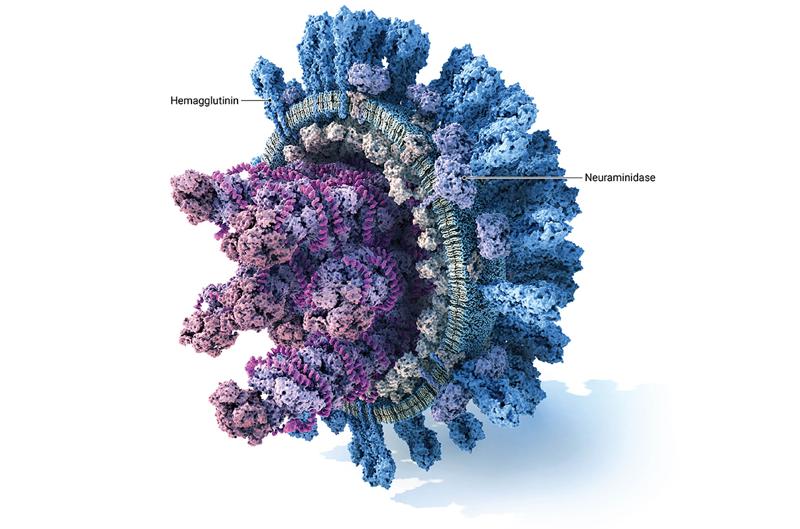 A single shot of a flu drug could outperform vaccines—and protect for an entire season