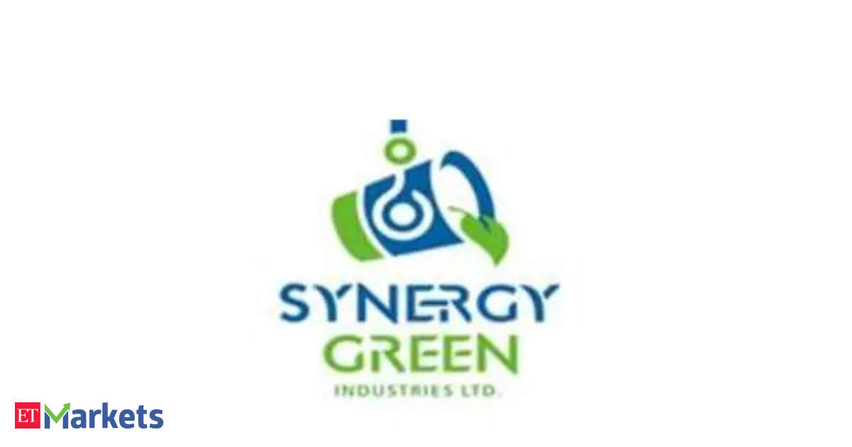Synergy Green shares jump 11% on order win from Adani Winds