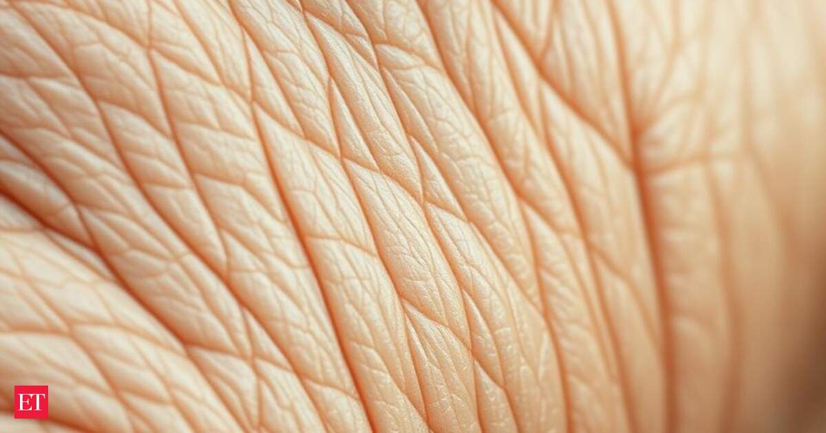 Why do we really get wrinkles? Scientists finally explain it’s not just age or sun exposure, it’s physics