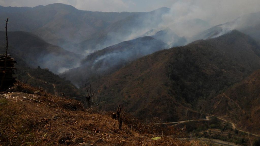 Opposition Calls Forest Conservation Amendment Act a 'Threat' to Mizoram