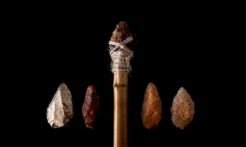These Early Humans Walked 8 Miles for the Perfect Rock
