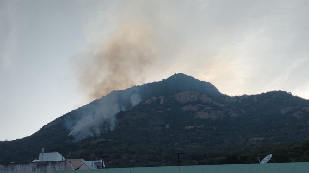 Forest department initiates probe into fire in reserve forest atop Arunachala Hills