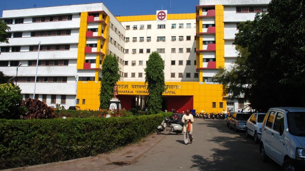 tribal-outfit-claims-rats-bit-4-fingers-of-newborn-girl,-accuses-indore-hospital-of-‘cover-up’