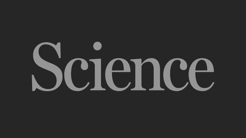 Poking holes in the heart’s rhythm | Science