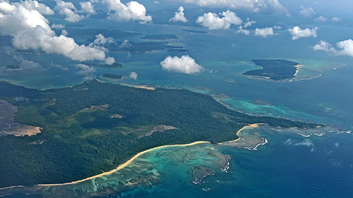 union-government-seeks-‘factual-report’-on-forest-rights-complaint-concerning-nicobar-project