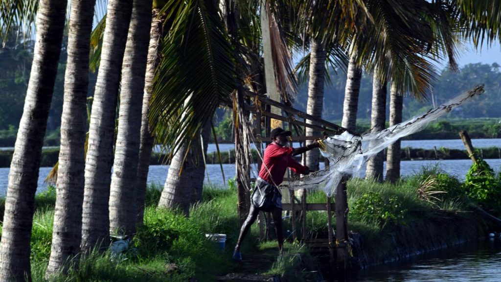 How Kerala Leads the Way in Tackling Rapid Urbanisation