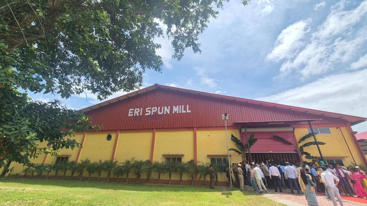 pre-cocoon-support-rejuvenates-bodoland-silk-industry