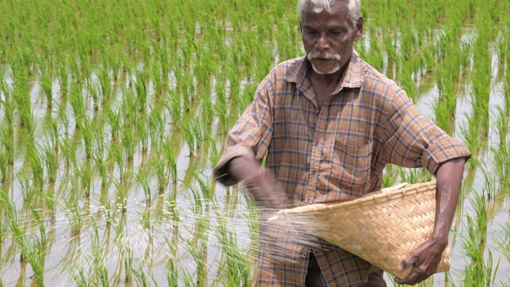 Kerala State Horticulture Mission urges farmers, primary cooperatives to make use of schemes for post-harvest management and marketing of horticulture crops