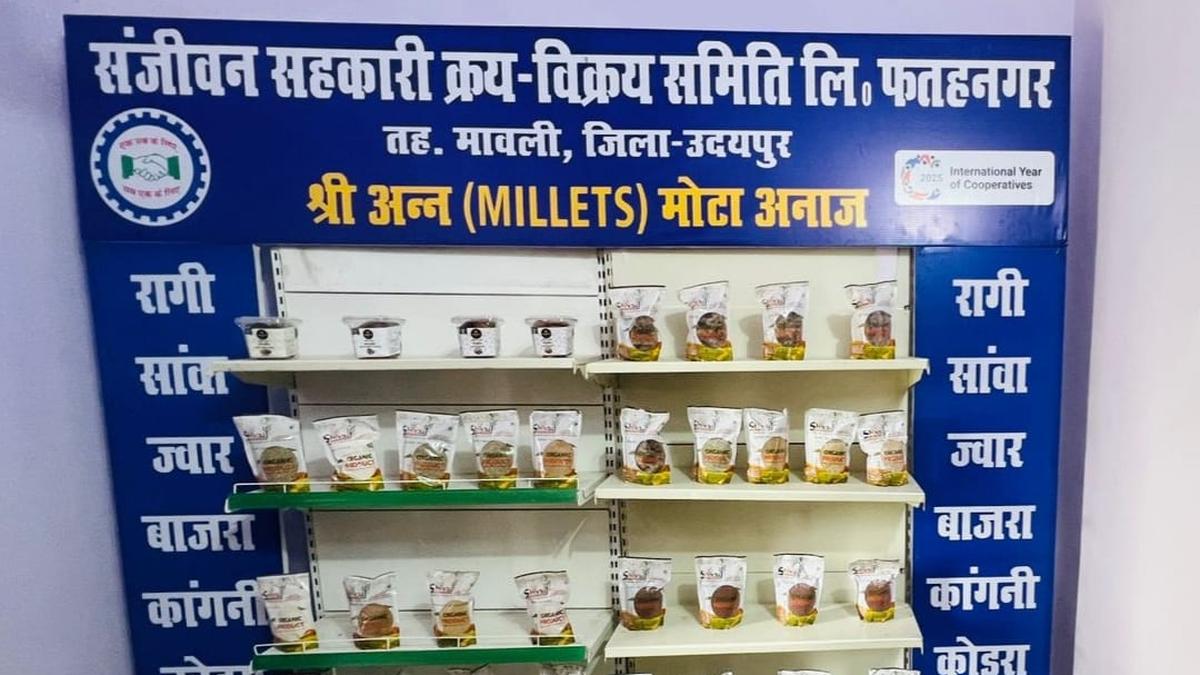 rajasthan-surpasses-target-for-millet-outlets-in-rural-areas
